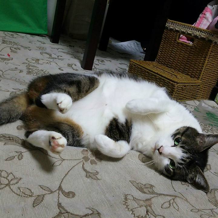 Ab11c401 b251 4850 9efe 397f22a18e45