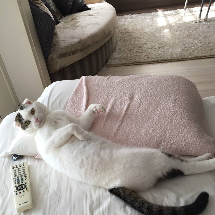 Ab13062a d661 463b bac4 40d2ea099ccd