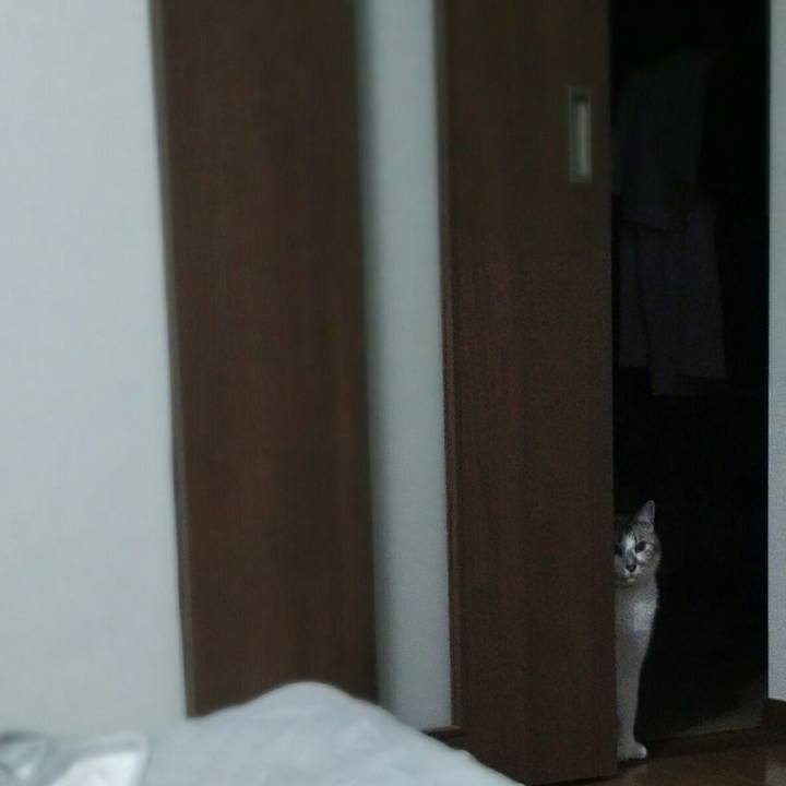 Ab13af6c d5fb 4c29 8c8f 57da9b2356cf