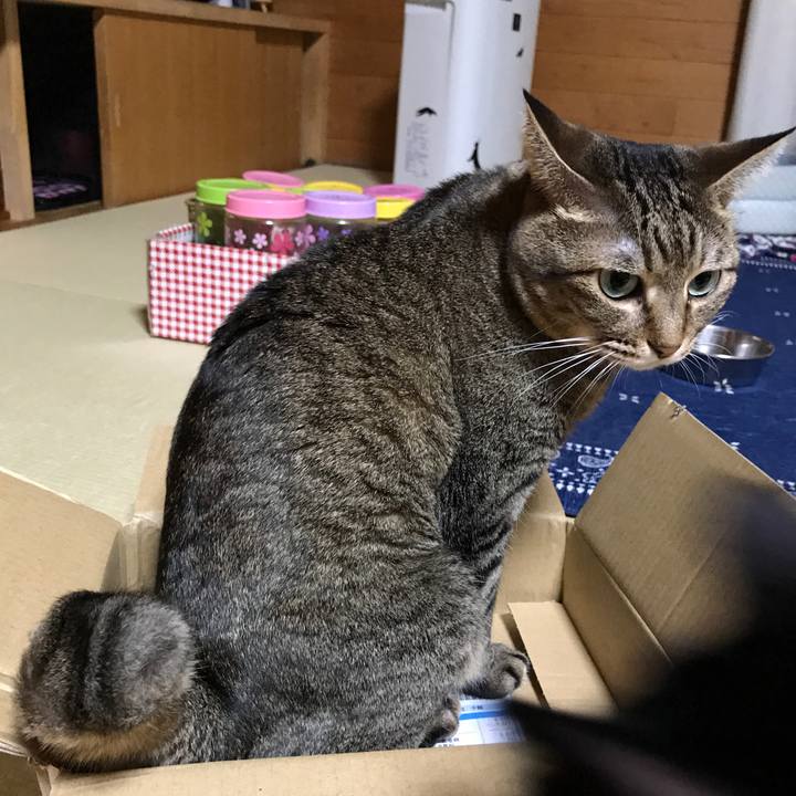 Ab140118 927e 4742 90dc b057cd6acd12