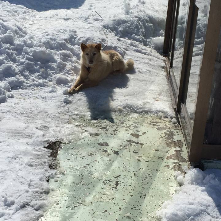 Ab142048 7527 4f42 9de8 6ea5458155ed