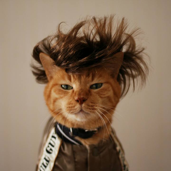 Ab1424d3 37cb 462a 9935 60113f0e3ed1