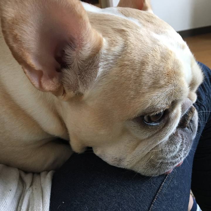 Ab149ffb dc86 4c77 828a cee8fd3220ee