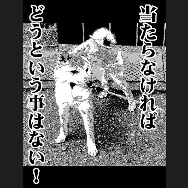 Ab1631e2 57c2 493e 9ac8 b70572b5ed74