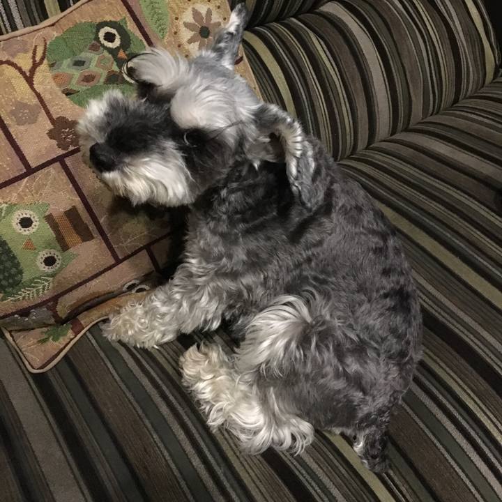 Ab172d44 84fd 44ee a503 4688fcc9f971