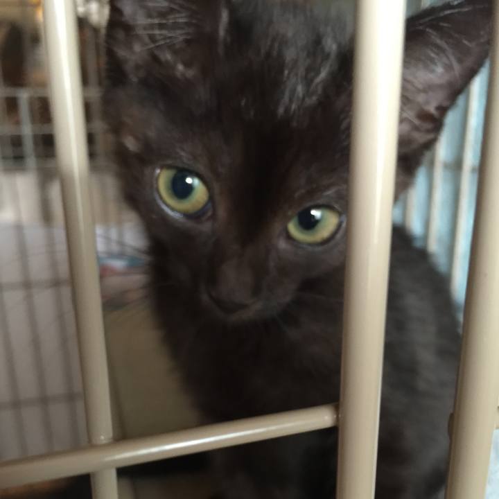 Ab177a30 4484 459b a738 3229f90e83ff