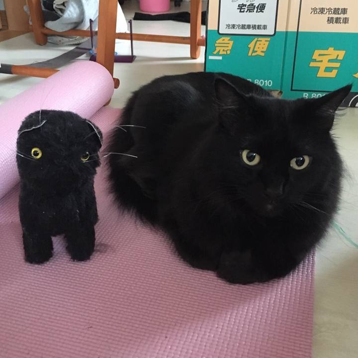 Ab17e55b 6f70 40a1 bf65 f3674cebd747