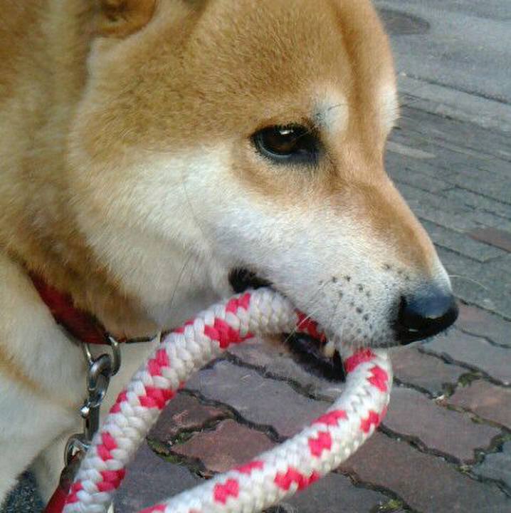 Ab180982 4cf4 4b6d 8027 ee412726d1f1