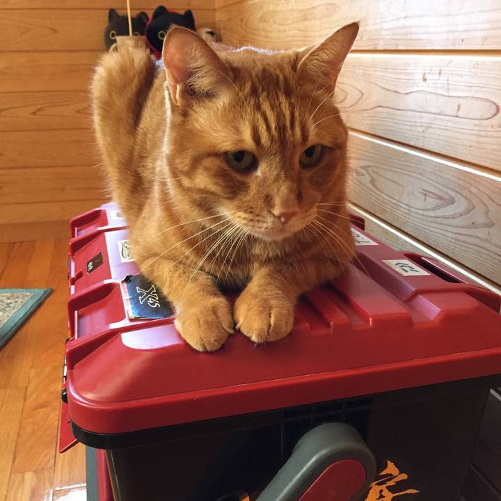 Ab1816e1 6cca 4deb 96b4 d4fb4182adb9