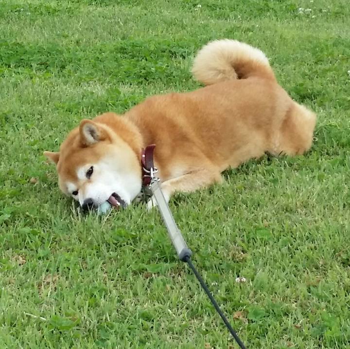 Ab186ffc 5865 480b bf7d fb618eed9266