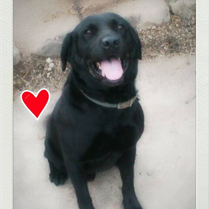 Ab1885d8 acd0 4fa3 ba13 344fd65adb08