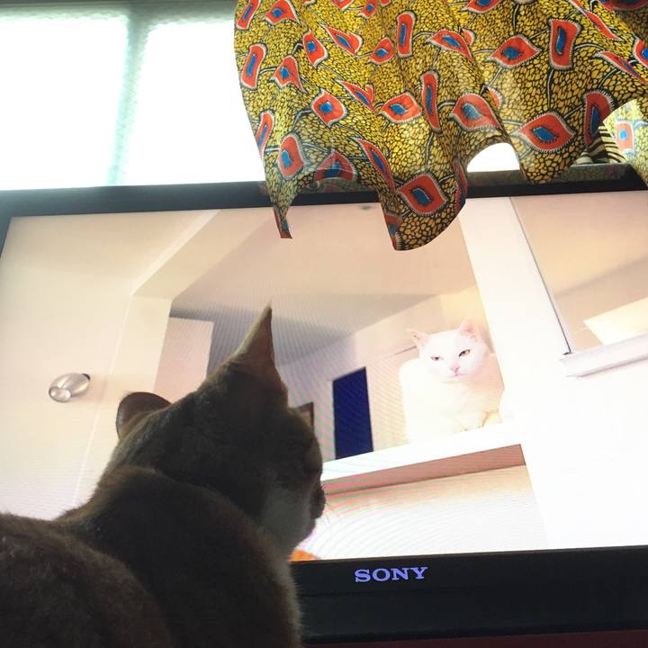 Ab192830 fb9c 427c af45 8e93195e1249