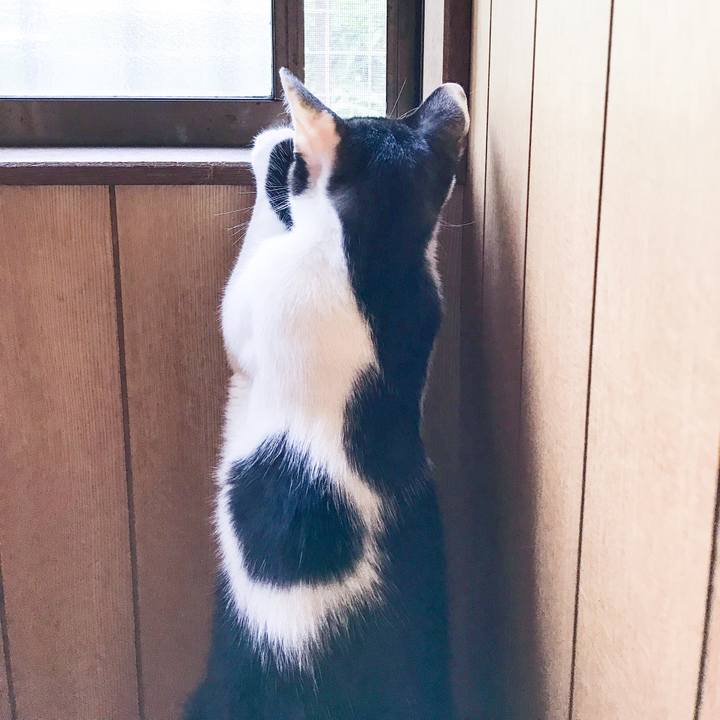 Ab19578e 4890 43ea 95bf e092f1b6244d