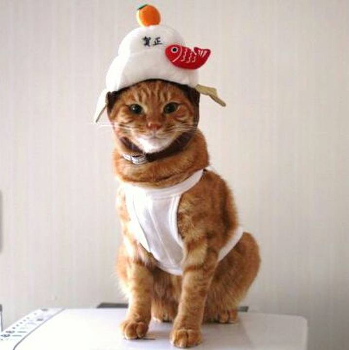 Ab19d50c 1322 4b38 ac42 304ce7843d36