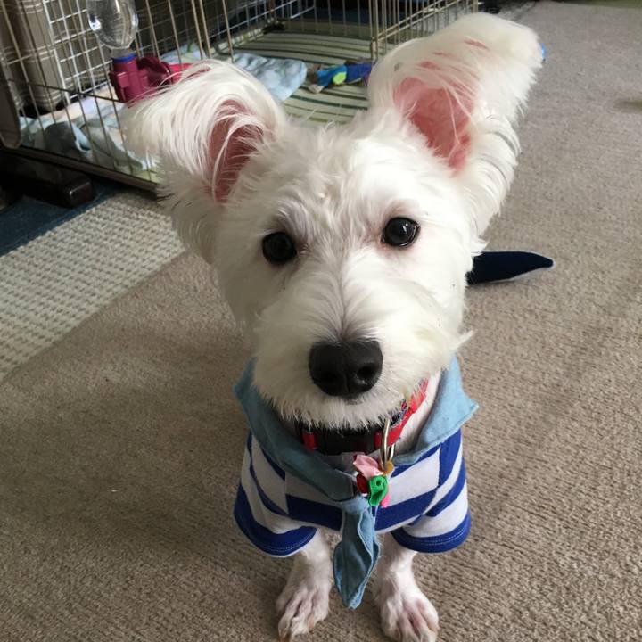 Ab19e74d 826c 4327 8caa 7307e0e7ede8