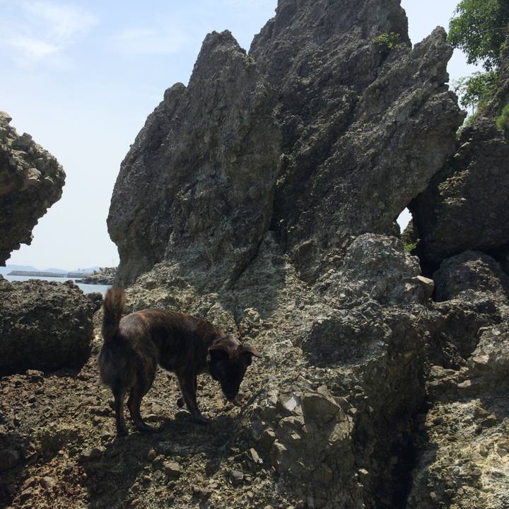 Ab1a4c75 0187 4920 9574 aeb98657c48b