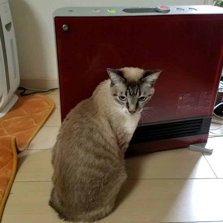 Ab1a6efe 492e 4703 90d6 457997e1a663