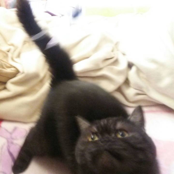 Ab1a709b caac 4fa6 9a1e 84fbf6690b7e