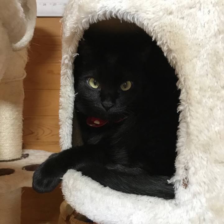 Ab1aec26 780e 4e87 8ec8 5e89ecfd2b19