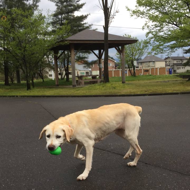 Ab1c8540 ec50 438b 9990 8dacea0a493f