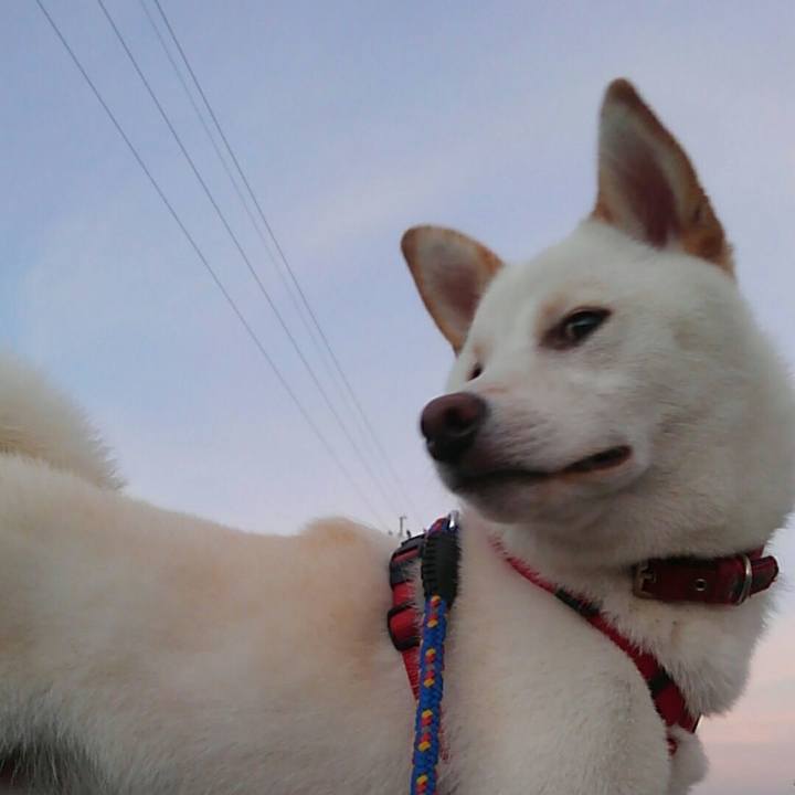 Ab1cda94 28ce 4b5a a498 7e40ba05918c