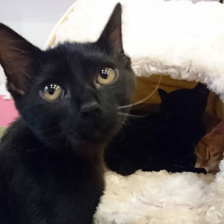 Ab1d89d5 ef8e 41cf 90da b9309f5d8146