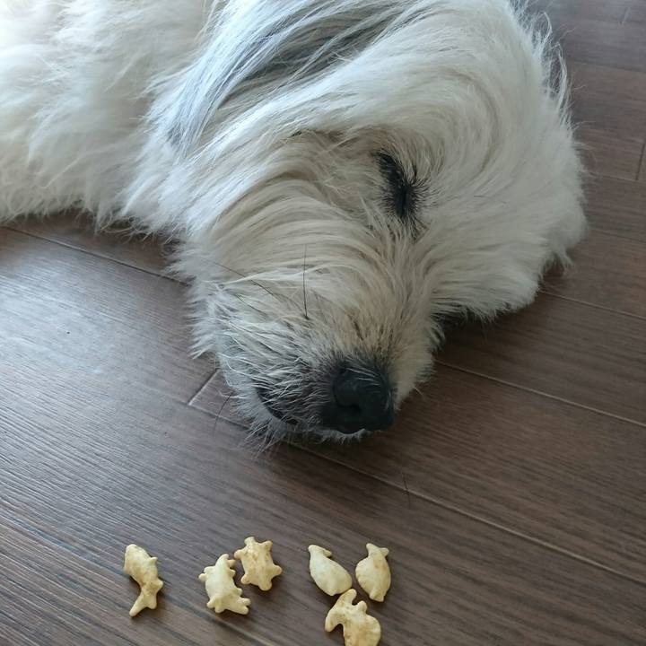 Ab1da6db 8f71 4de5 be5c 67b702d901c8