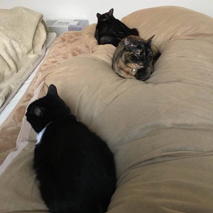 Ab1e8b38 7944 4612 bde0 6fe1e3fb53dd