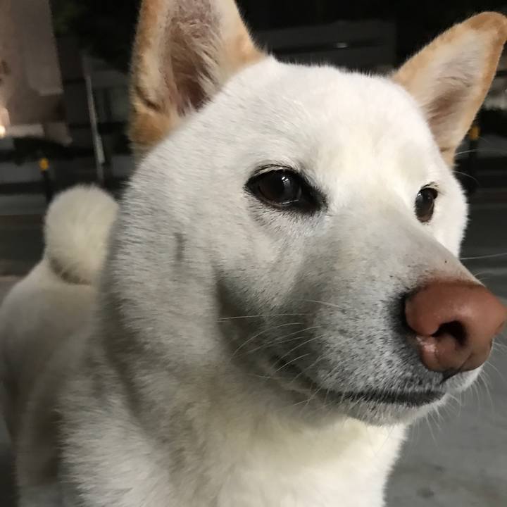 Ab1eb2f1 9844 4b10 8176 4e6b2aaec94d