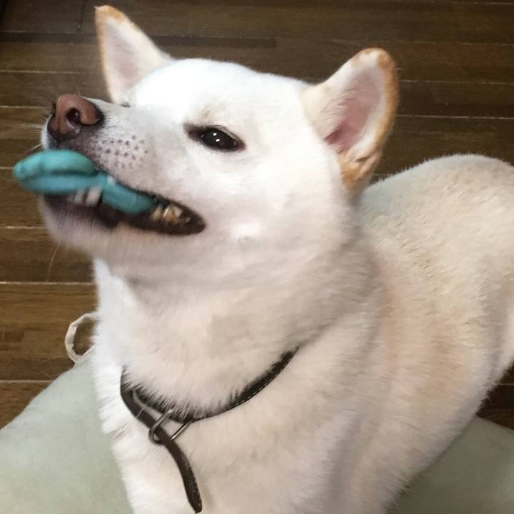 Ab1ee404 1785 4757 9326 8cafa5a509a0