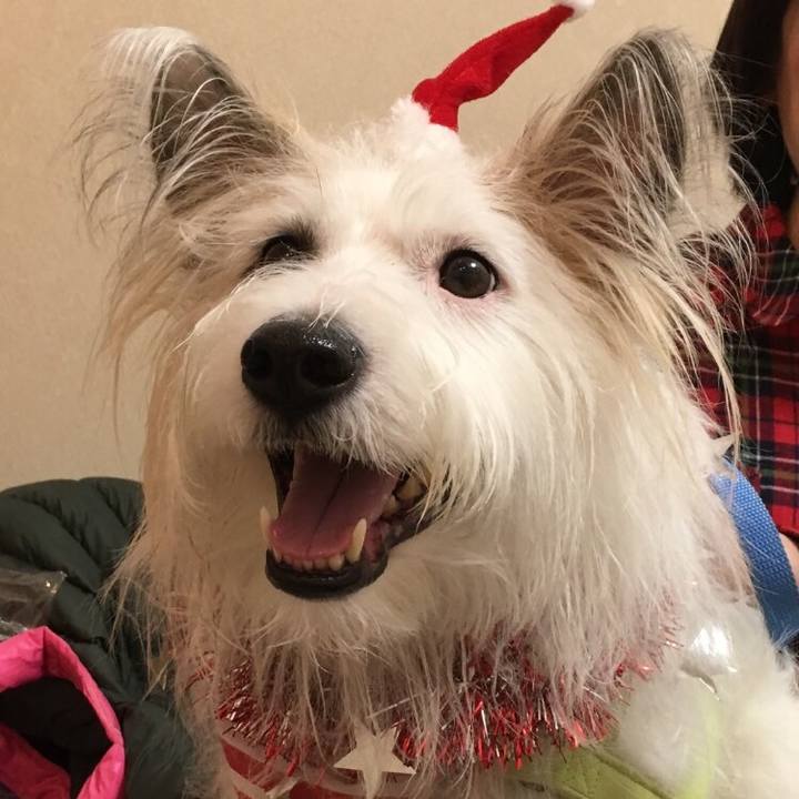 Ab1f74ed 5381 4936 972c eb233042301f