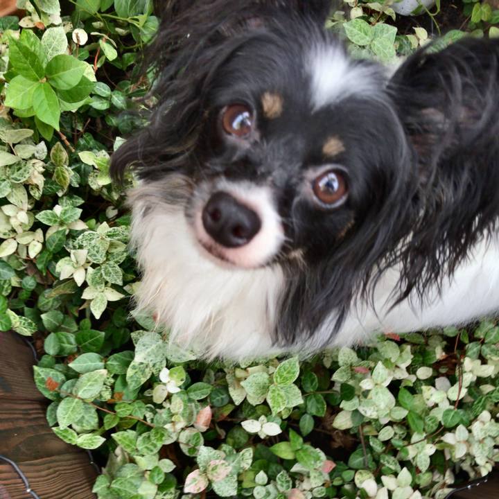 Ab1f7f32 3d2b 432c 8678 8880629cd261