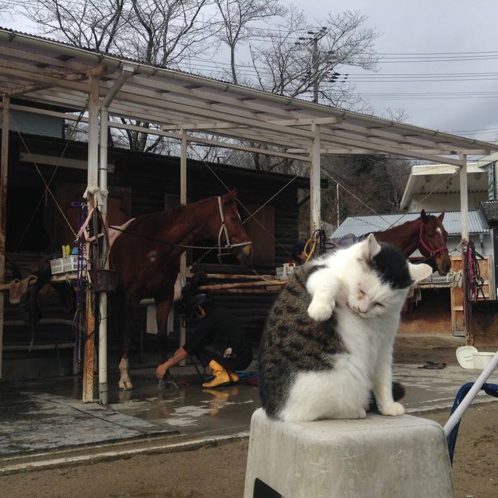 Ab206ede 758a 4754 998e 16395f38e91d