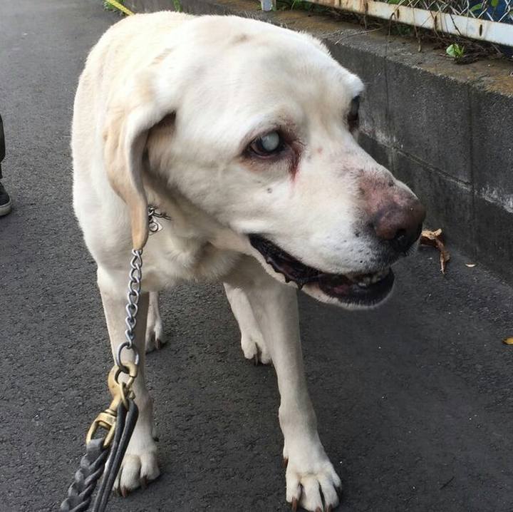 Ab20c759 3037 4b2c 850a b20a7825c305