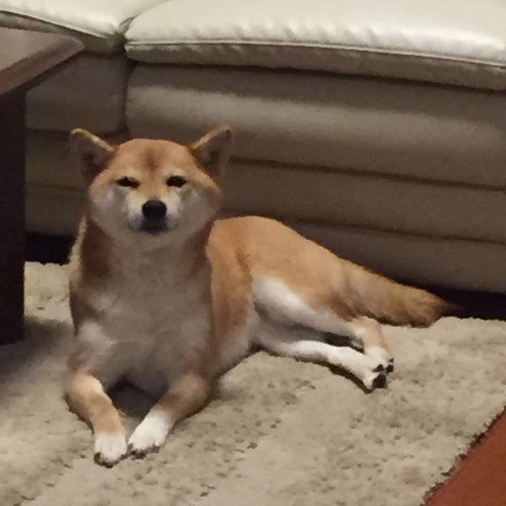 Ab20c7db d1fd 4a8d a962 5b8a4d63c266