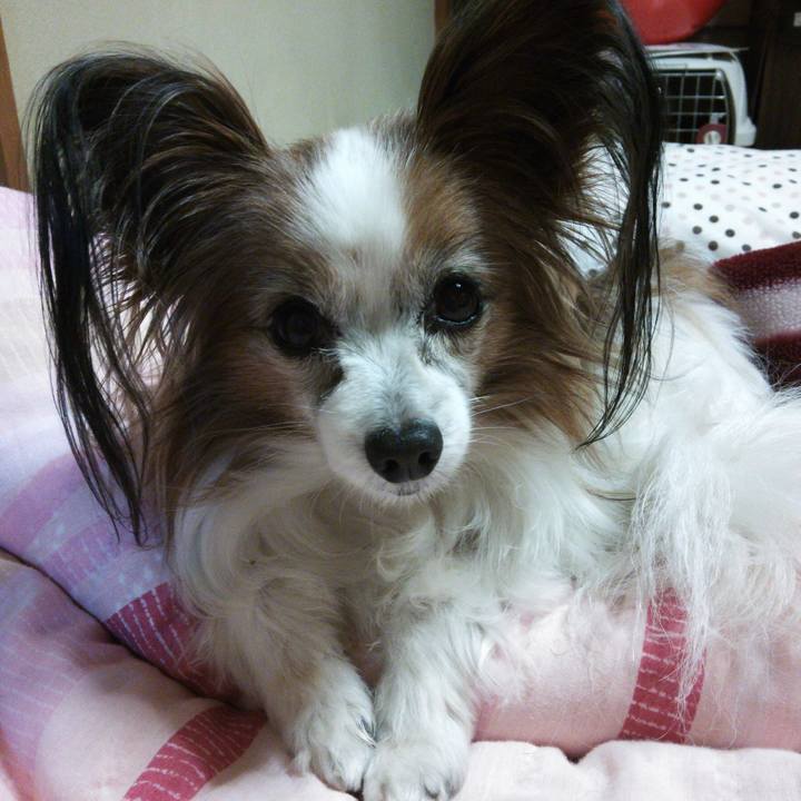 Ab21d8c3 4276 4929 89a5 274ad4cc219d