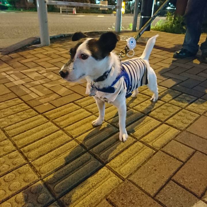 Ab2204b2 8e12 420b 84e9 fed44469bdc5