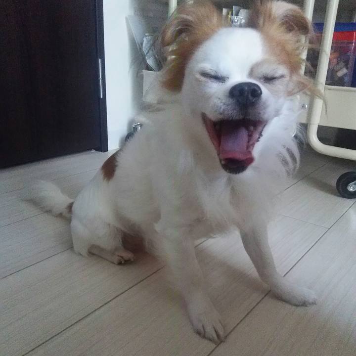 Ab2298b9 1710 4ad7 89ba 94de5213d84b