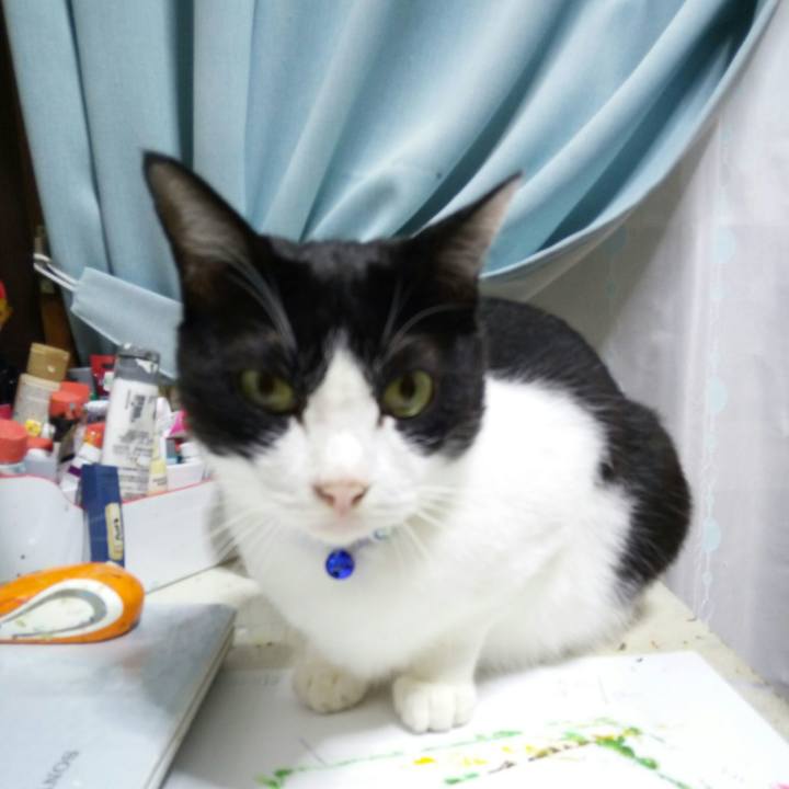 Ab239dd2 c5b1 4f4a 9cd0 d03c0f239f96