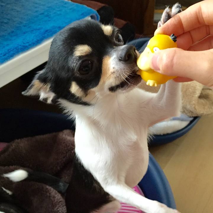 Ab23a773 8eb4 4118 958f 36626a2a1b00