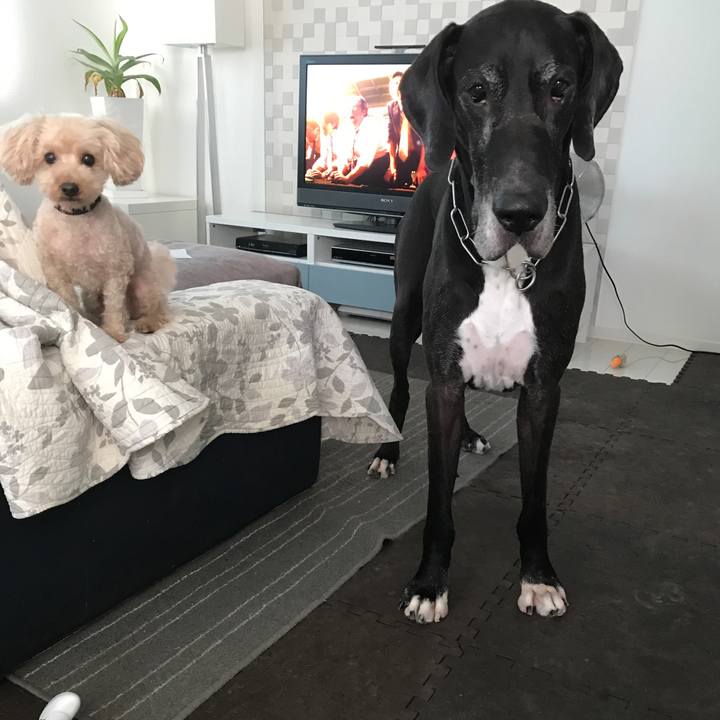 Ab24ce9f e953 43ec 9265 4408ecf2888f