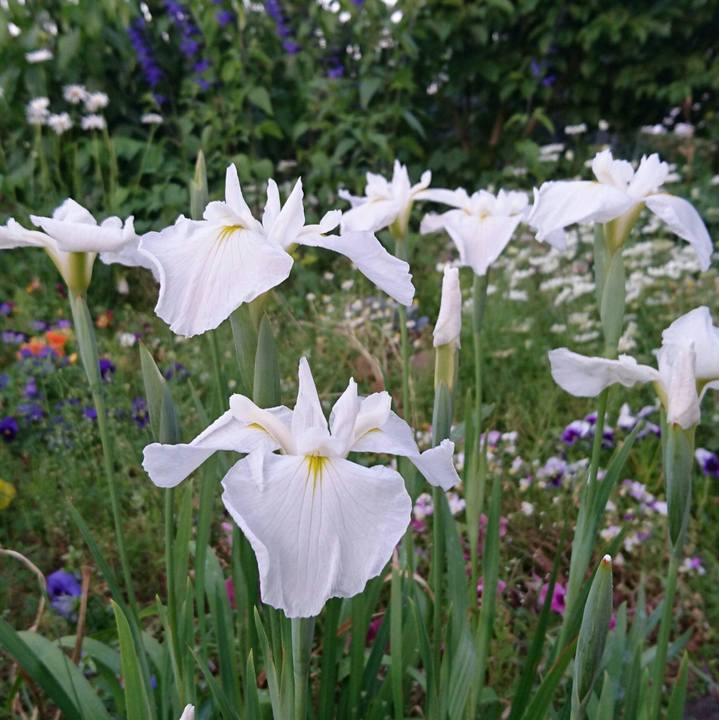 Ab24ec97 6505 422f bb84 c2046572d5b0