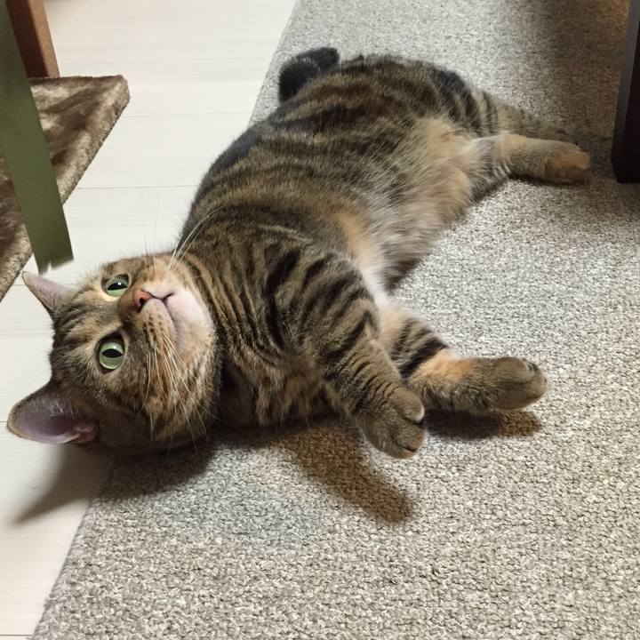 Ab24fa6f ba72 49ad 9de0 2ec600525285