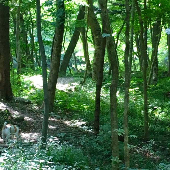 Ab254e24 a73c 40de ab38 555886d081f9