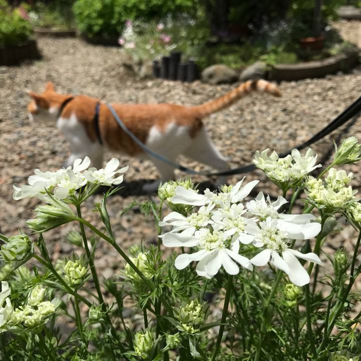 Ab25618d 7a56 4fb6 b6ec b1d5514a61b1