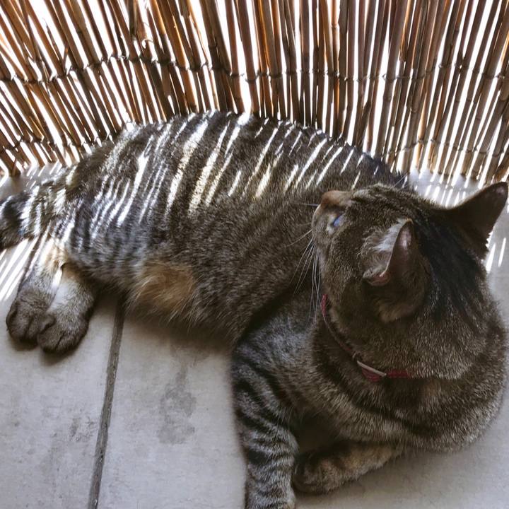 Ab25ee6a bcb9 4e78 bd15 7db2484bcf00