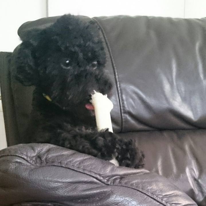 Ab2600bf ee89 40d4 ba5e dd68acc0db93