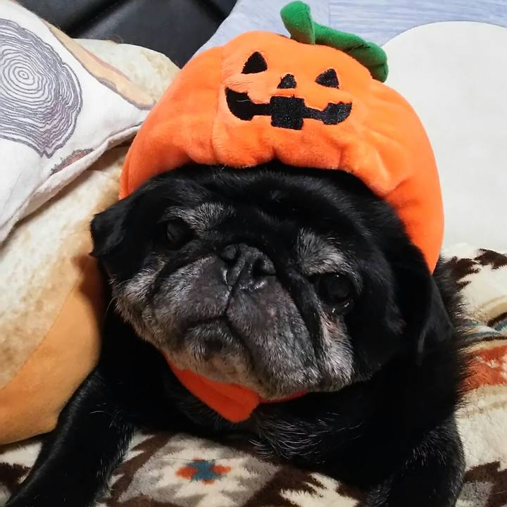 Ab26c884 96e8 48bf a8c9 4254f0e560c9