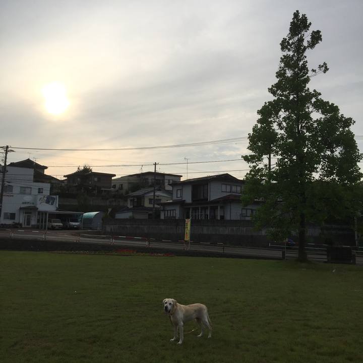 Ab27a905 4851 4f6a ad10 ef055a414037