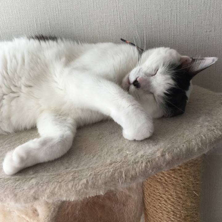 Ab284f7d f06a 4f74 8b7f fd89086a9891